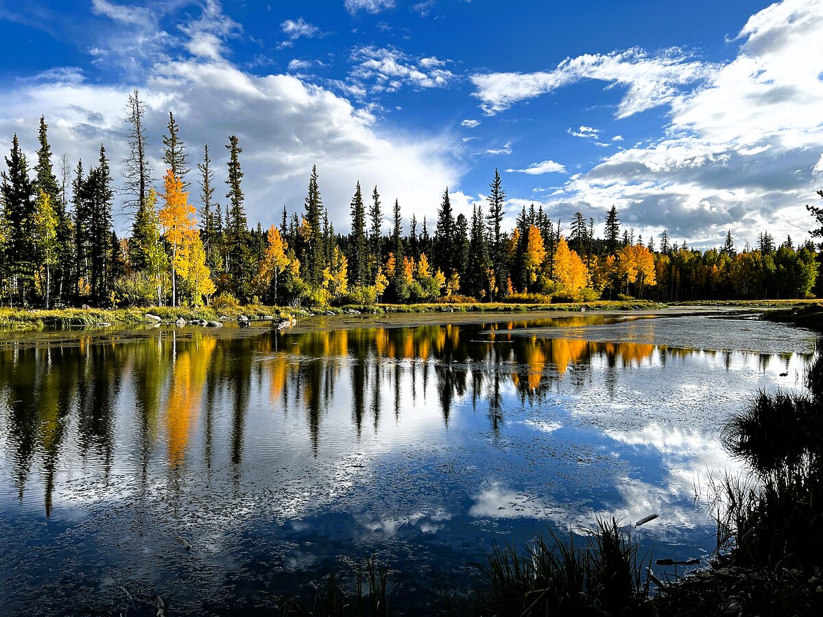 Aspen Mirror Lake in autumn, gold aspens and spruce reflected in still water.