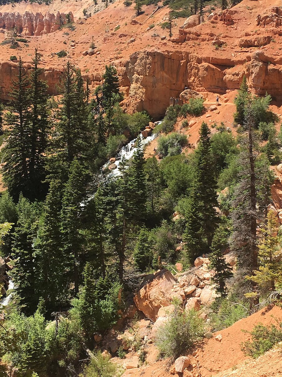 Cascade Falls pouring out of a red rock cliff face into a forested canyon.