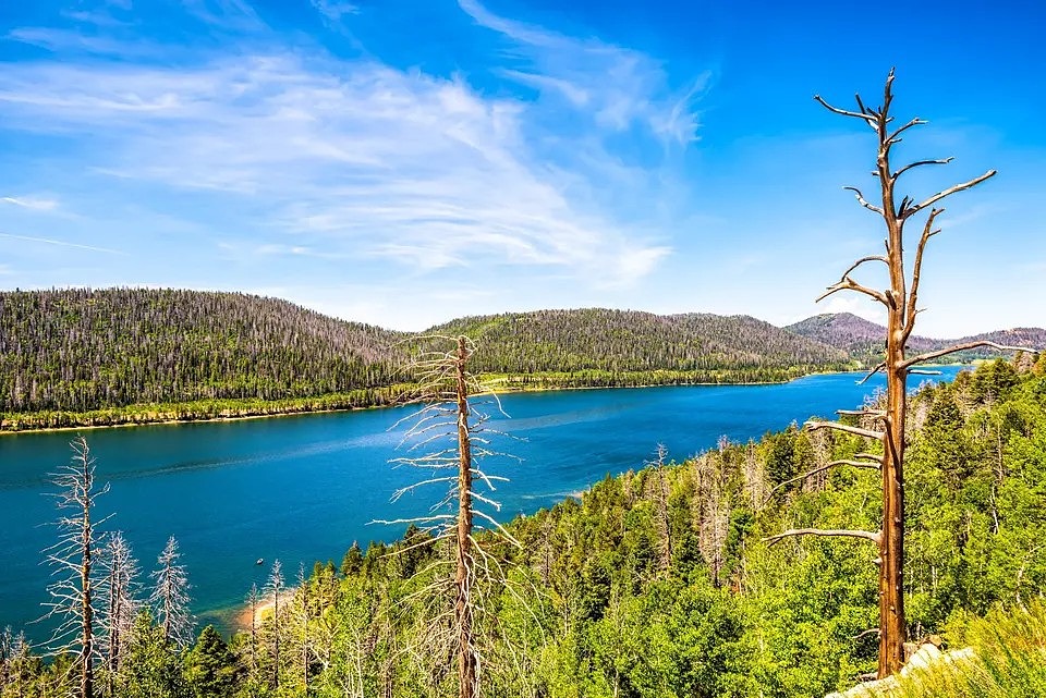 Navajo Lake seen from above, deep blue water ringed by forested hills.