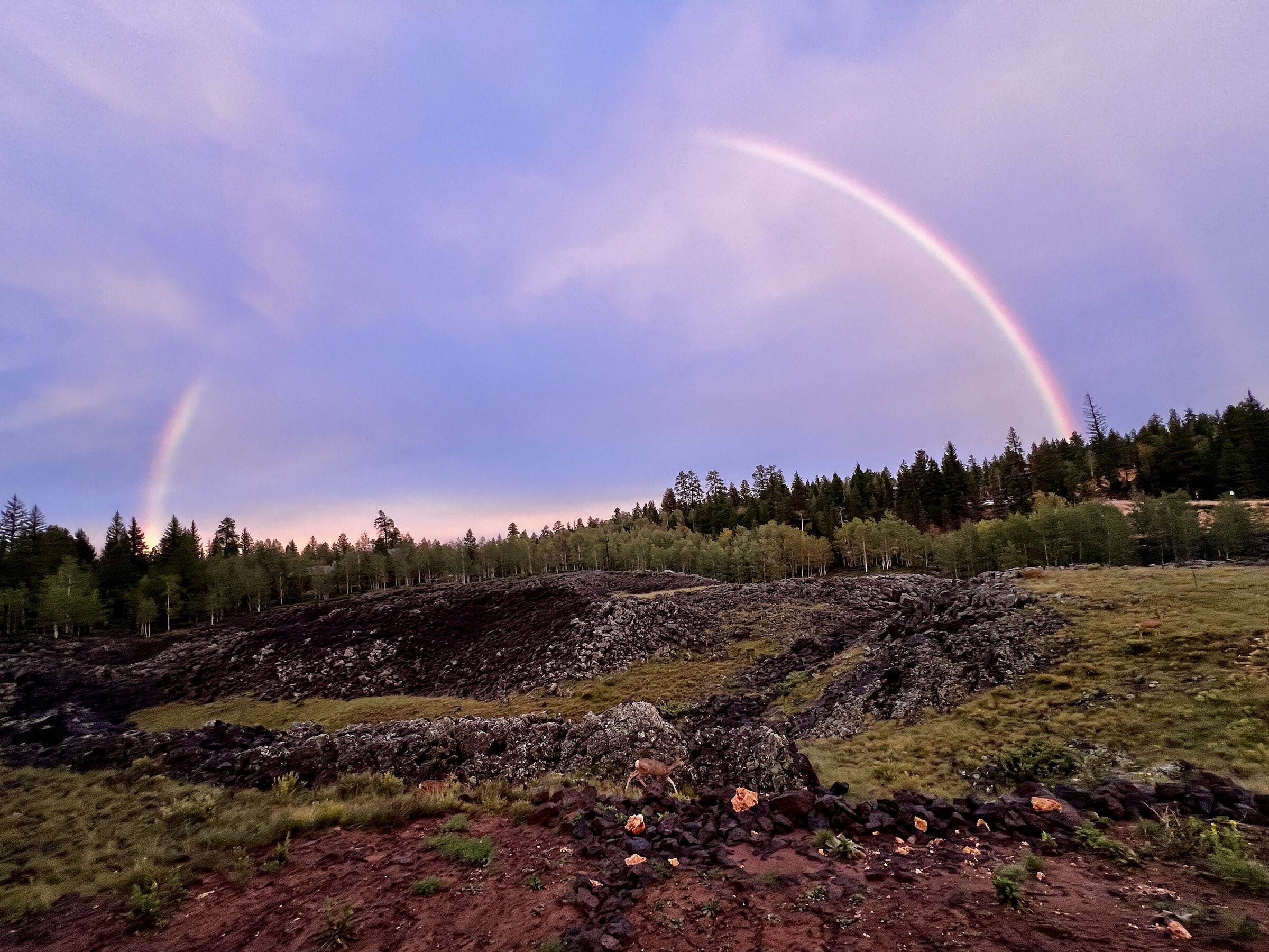 A double rainbow at dusk over the lava flow, with deer grazing at the edge of the rocks.